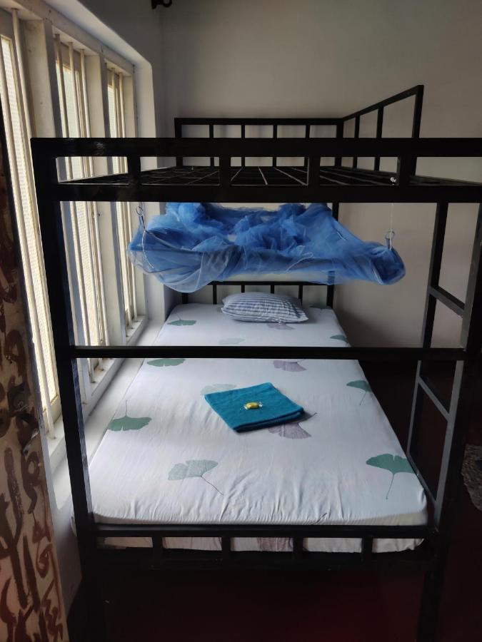 Hostel Catch The Ella Train *
