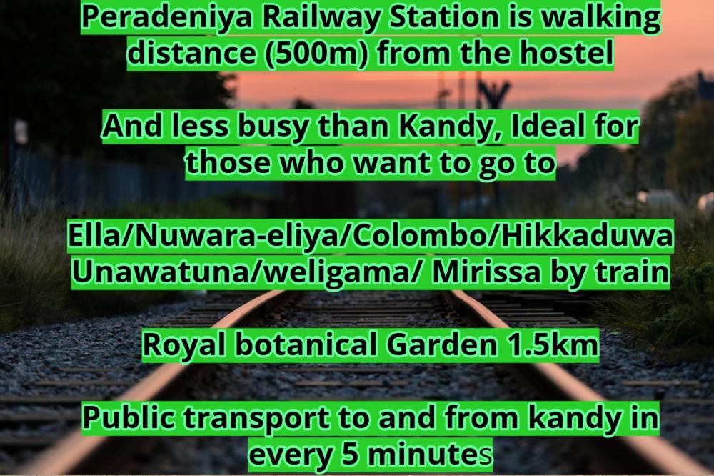 Catch The Ella Train *